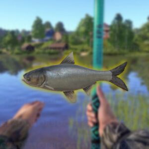 Russian Fishing 4 Silver Carp Farming Boost