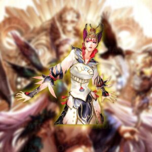 Silkroad Online - Custom Order