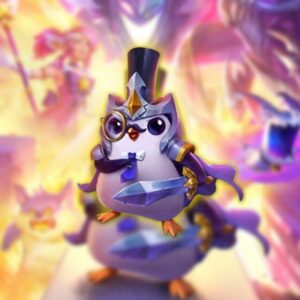 TFT Coaching Service