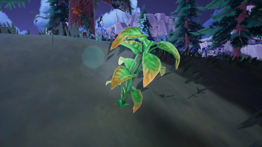 Palia Sweet Leaf Locations Guide