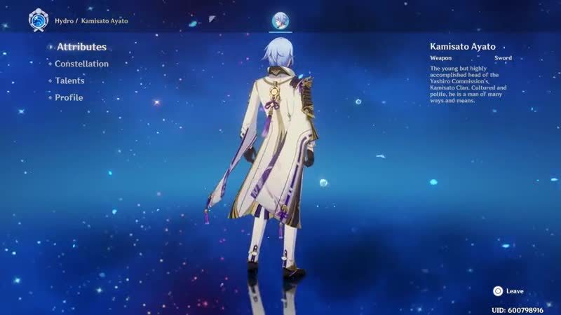 Kamisato Ayato Team Guide