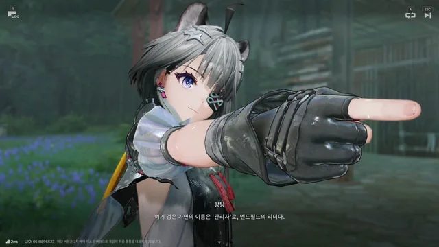 Best Tangtang Build for Arknights Endfield