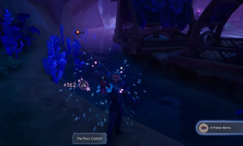 How to get Palian Betta in Palia